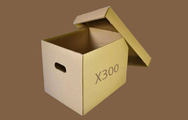 Caja archivo X300